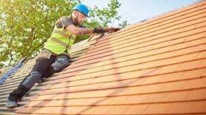 Best Roof Maintenance and Cleaning  in Teague, TX