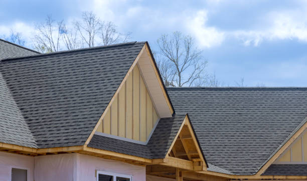 Best Roof Insulation Installation  in Teague, TX